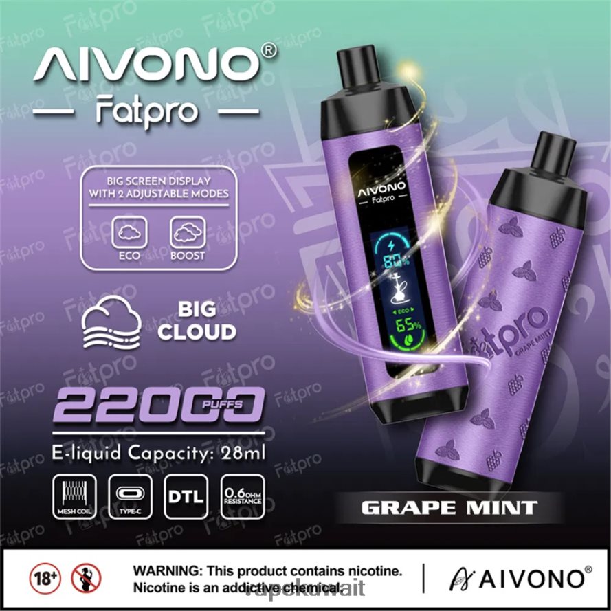 Aivono Fatpro 22000 نعناع العنب - 66DF602 Vape الكويت