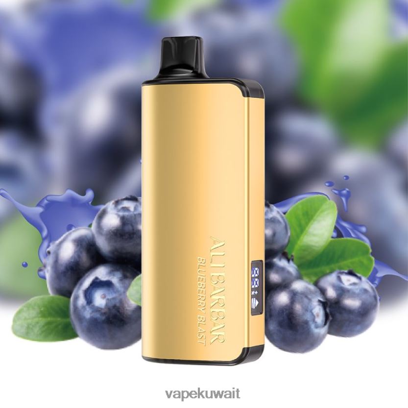 Alibarbar Ingot 20000 سيجارة للاستعمال مرة واحدة انفجار التوت PRH2FR31 Vape Kuwait