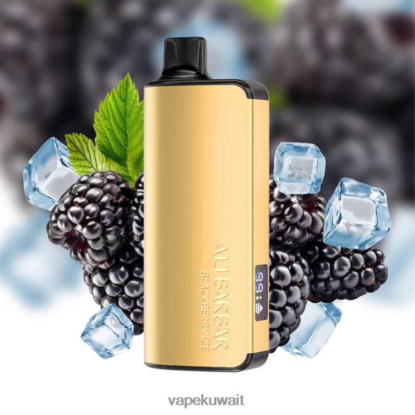 Alibarbar Ingot 20000 سيجارة للاستعمال مرة واحدة ثلج بلاك بيري PRH2FR49 Vape Pod System
