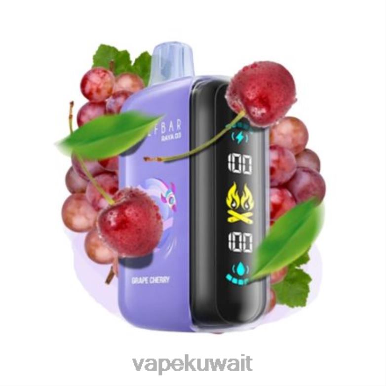 Vape Kuwait 2P0401 - يمكن التخلص منه Elf Bar Raya D3 25000