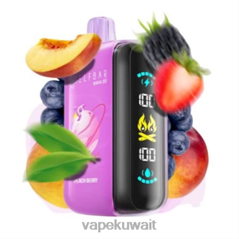 Vape Kuwait 2P0401 - يمكن التخلص منه Elf Bar Raya D3 25000