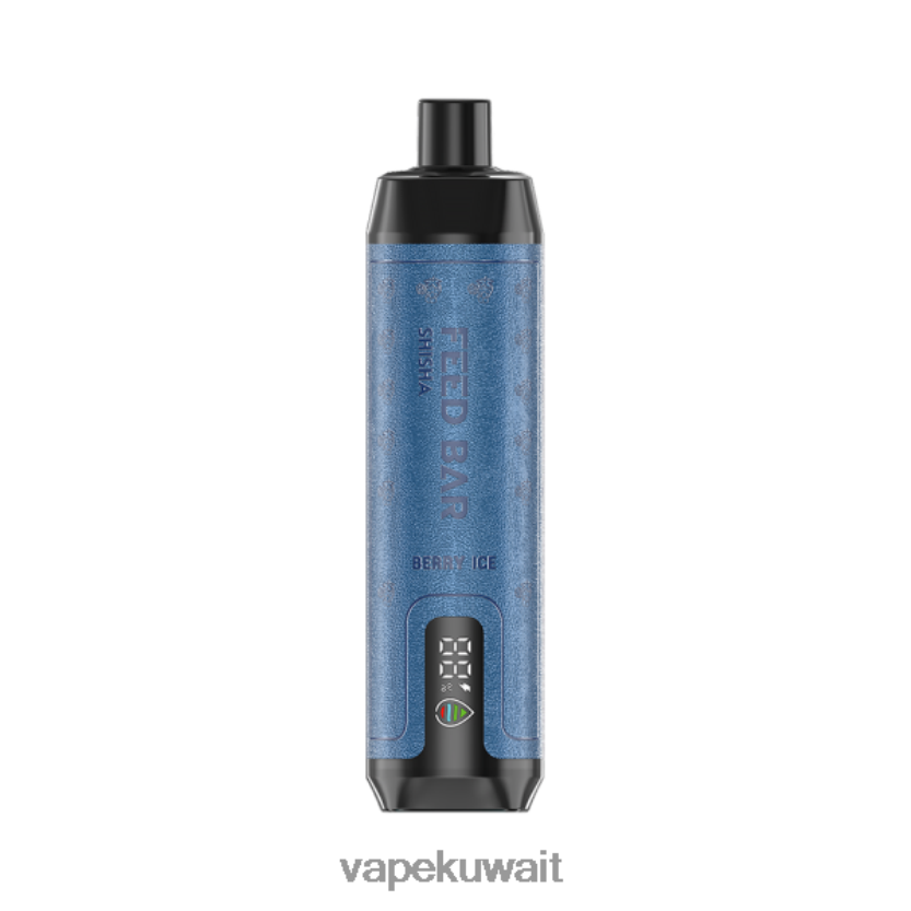 Vapsolo SHISHA vape القابل للتصرف جليد التوت PRH2FR113 Vape KW