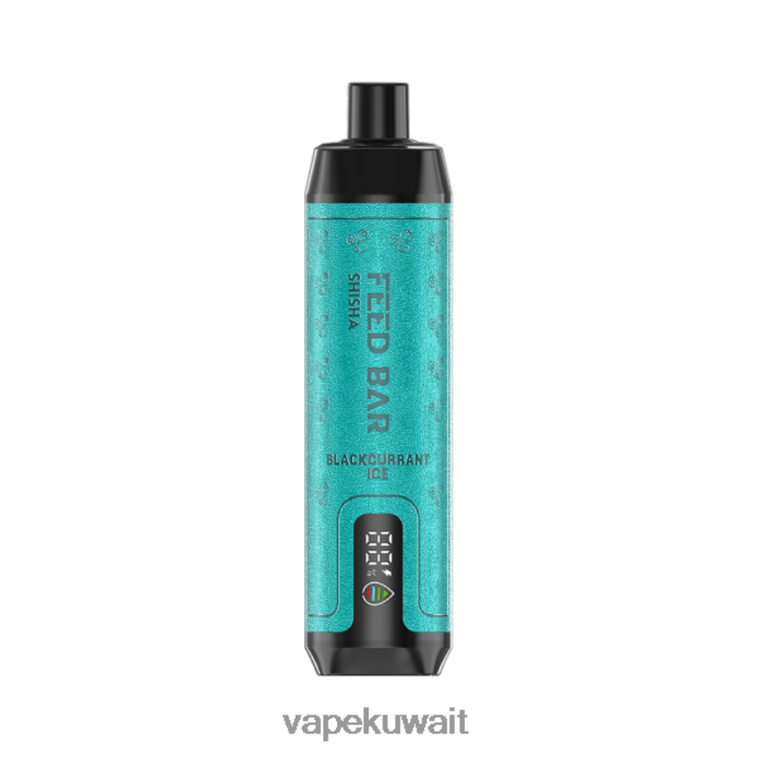 Vapsolo SHISHA vape القابل للتصرف جليد الكشمش الأسود PRH2FR114 Vape Pod System