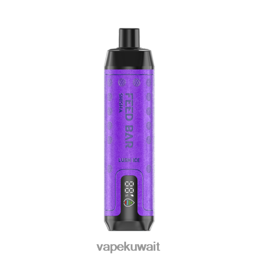 Vapsolo SHISHA vape القابل للتصرف الجليد الخصب PRH2FR120 Vape Pod Kits