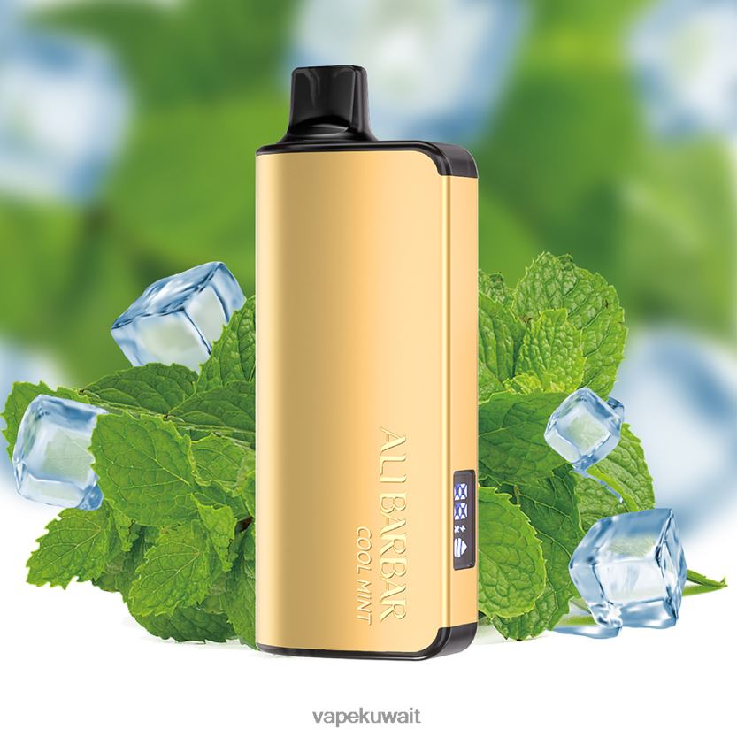 Alibarbar Ingot 9000 سيجارة يمكن التخلص منها نعناع بارد PRH2FR18 Vape KW