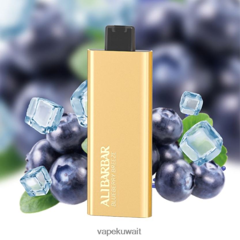 Alibarbar Pandora 7000 سيجارة يمكن التخلص منها نسيم التوت PRH2FR51 Vape Kuwait