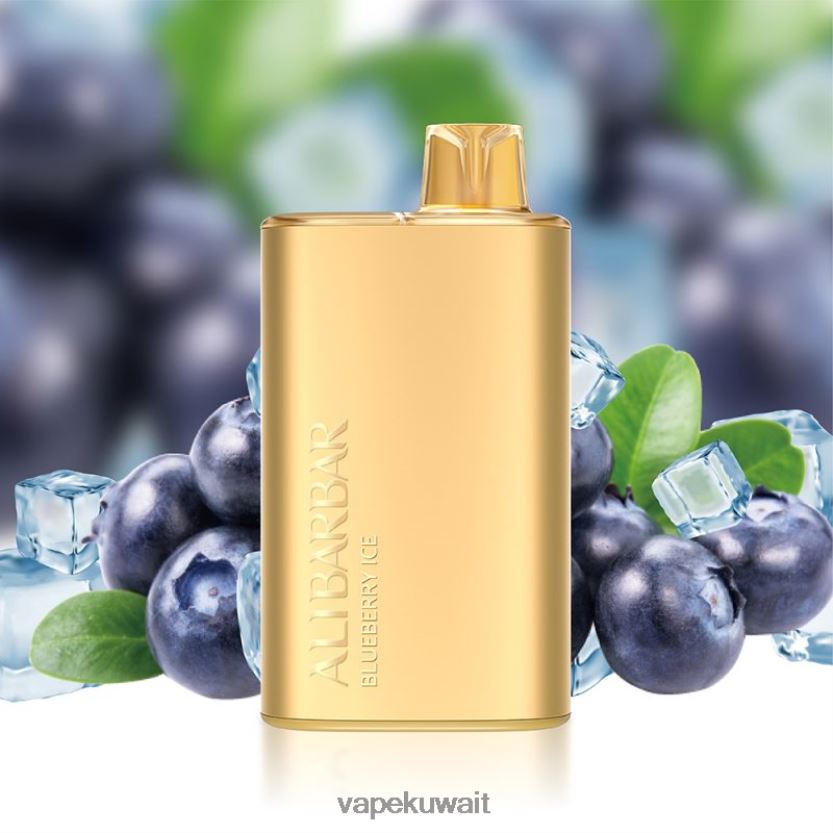 Alibarbar Rich 8000 سيجارة يمكن التخلص منها جليد التوت PRH2FR3 Vape KW