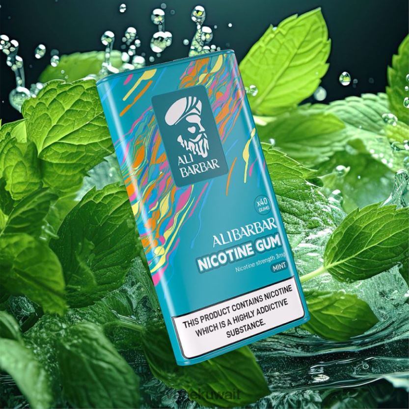 Alibarbar علكة النيكوتين نعناع PRH2FR101 Vape Kuwait