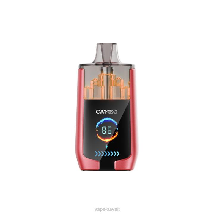 N8RV14 Vape الكويت - ثلج البطيخ LAVIE CAMEO 30000 نفث