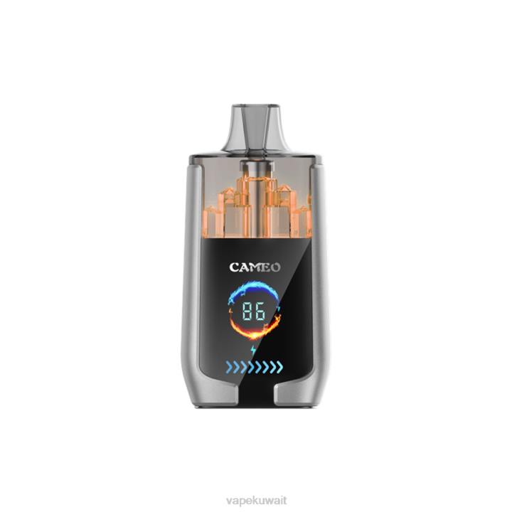 N8RV15 Vape Kuwait - جليد التوت LAVIE CAMEO 30000 نفث