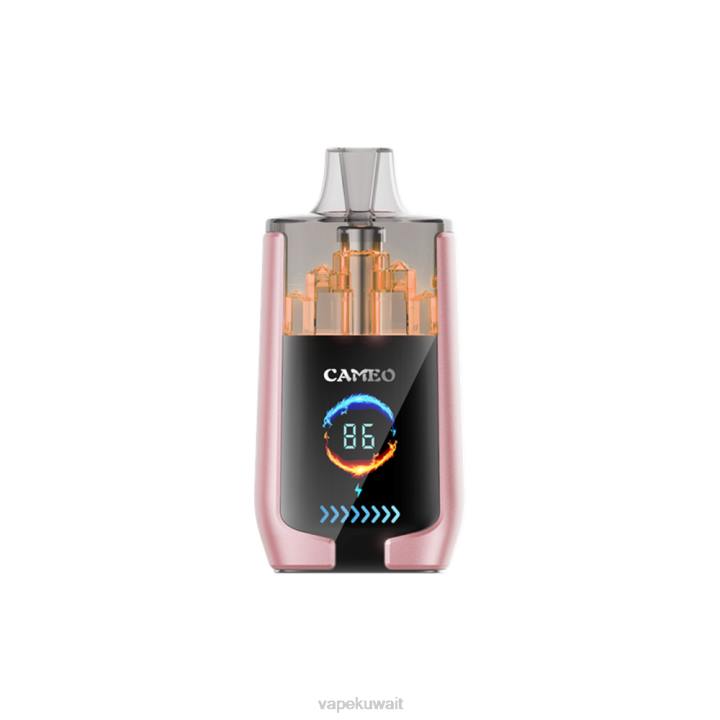 N8RV19 Vape Kuwait - الفاكهة الاستوائية LAVIE CAMEO 30000 نفث