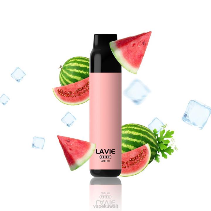N8RV285 Vape Kuwait - الجليد الخصب LAVIE BAR 3000 نفث