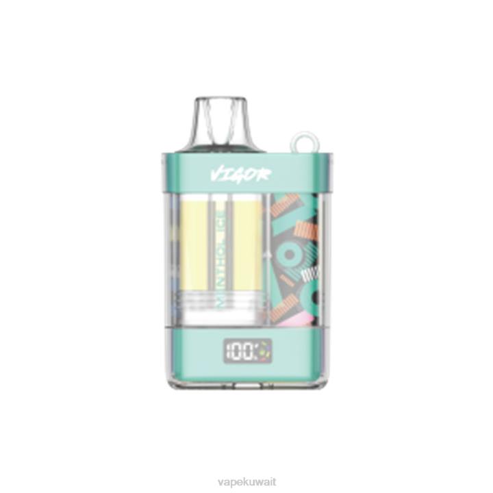 N8RV2 Vape الكويت - جليد المنثول LAVIE VIGOR 15000 نفث