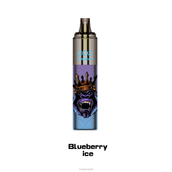 N8RV349 Vape Kuwait - جليد التوت LAVIE OCO كرنفال 10000 نفث