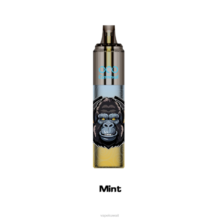 N8RV354 Vape الكويت - نعناع LAVIE OCO كرنفال 10000 نفث