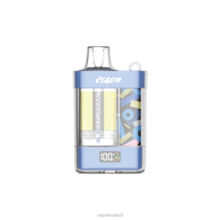 N8RV9 Vape Kuwait - الكشمش الأسود LAVIE VIGOR 15000 نفث